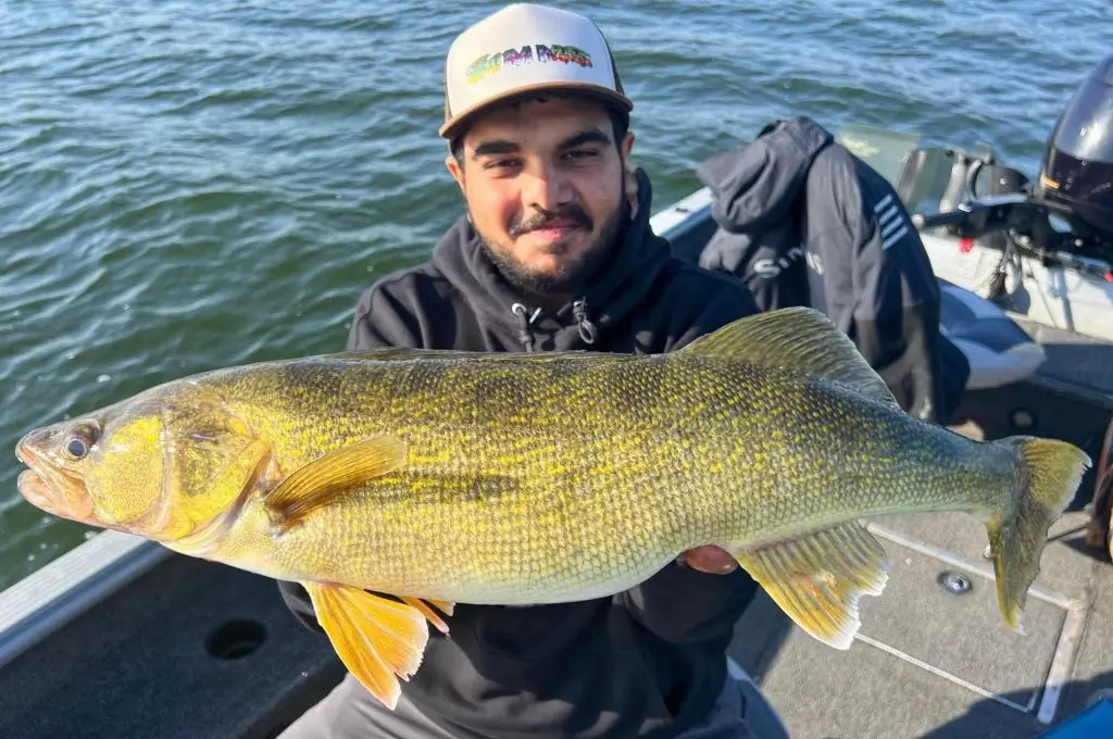 Master Angler walleye fishing in Manitoba
