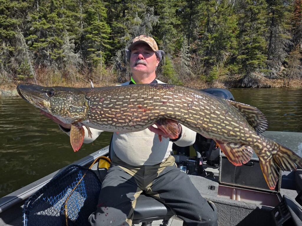 Pike Fishing in Manitoba