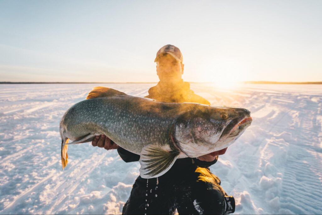 Man proudly holding a large fish caught during ice fishing