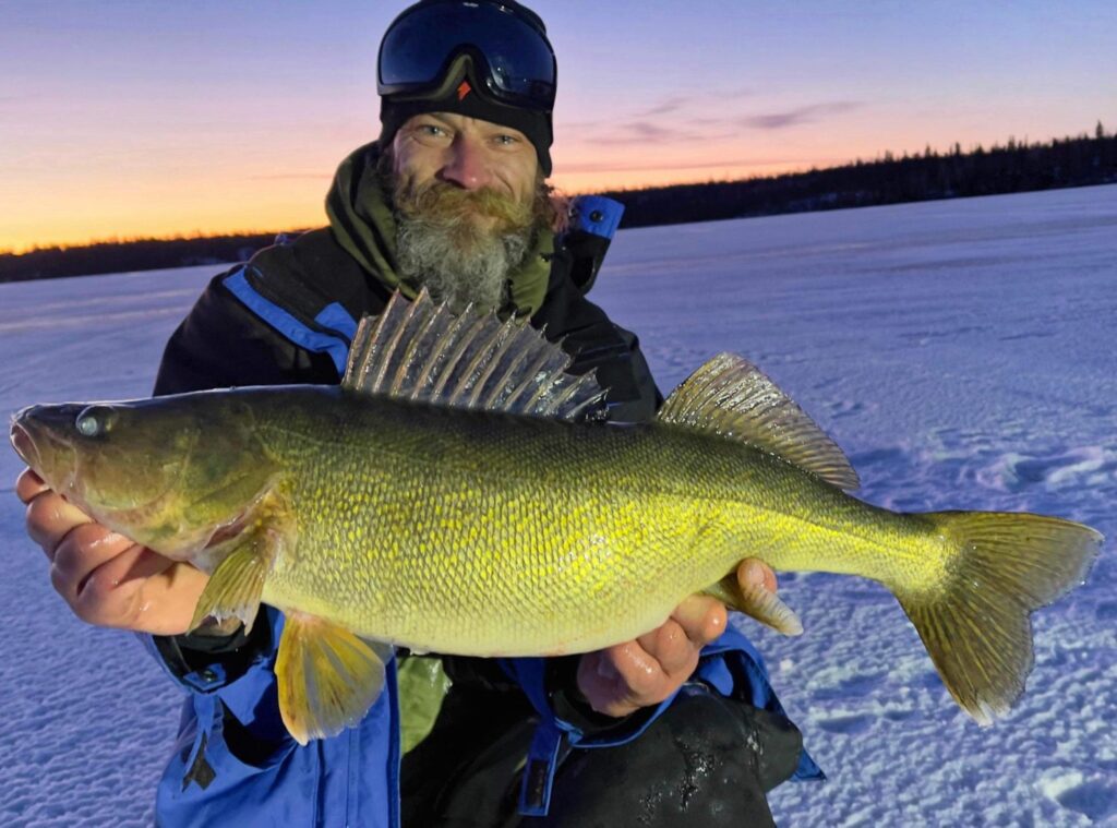Angler displaying a catch representing multispecies fishing opportunities at a Manitoba Ice Fishing Lodge.
