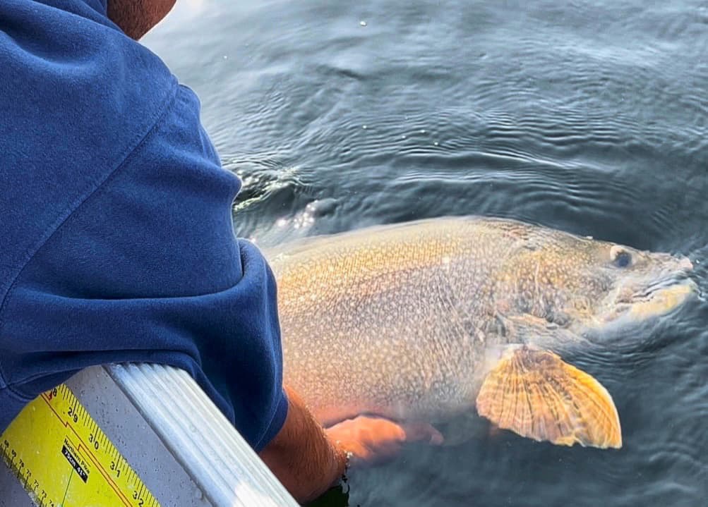 A fisherman holding a big catch over the water at a world-class Lake Athapapuskow fishing lodge.