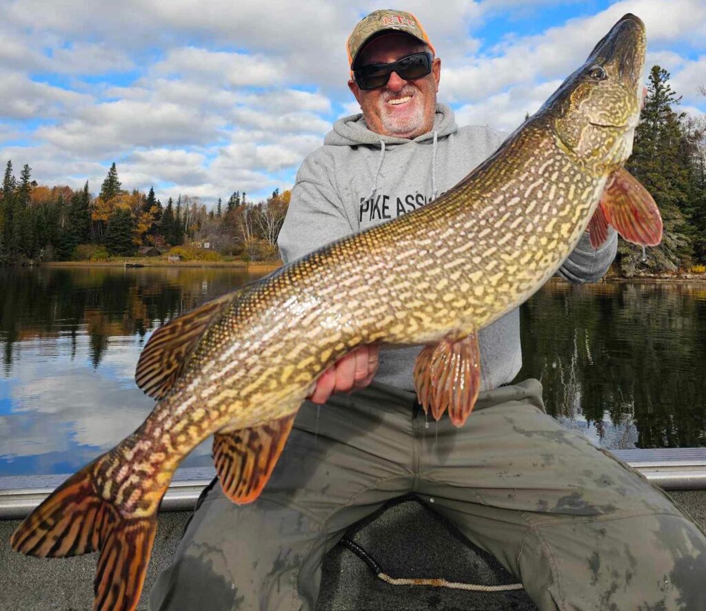An angler holding a big fish on a boat, representing the rewarding experience of traveling to a top Manitoba lodge.