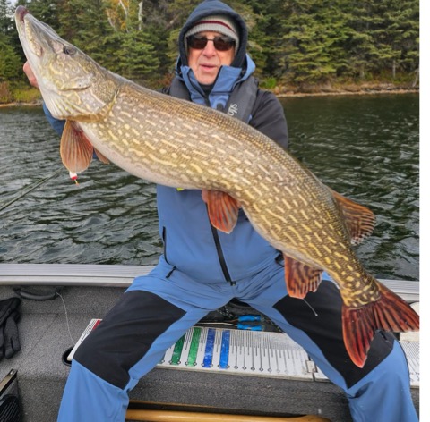 An angler holding a large trophy fish, highlighting the species diversity found at the best fishing lodges in Manitoba.