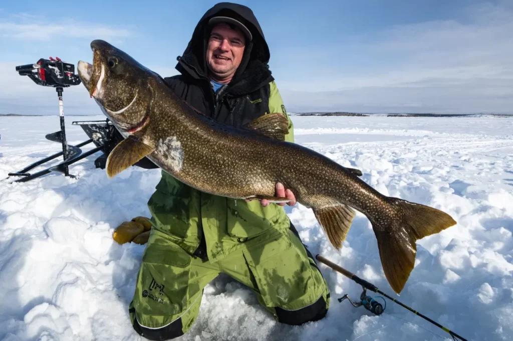 Lake Trout Fly In Ice Fishing Adventure