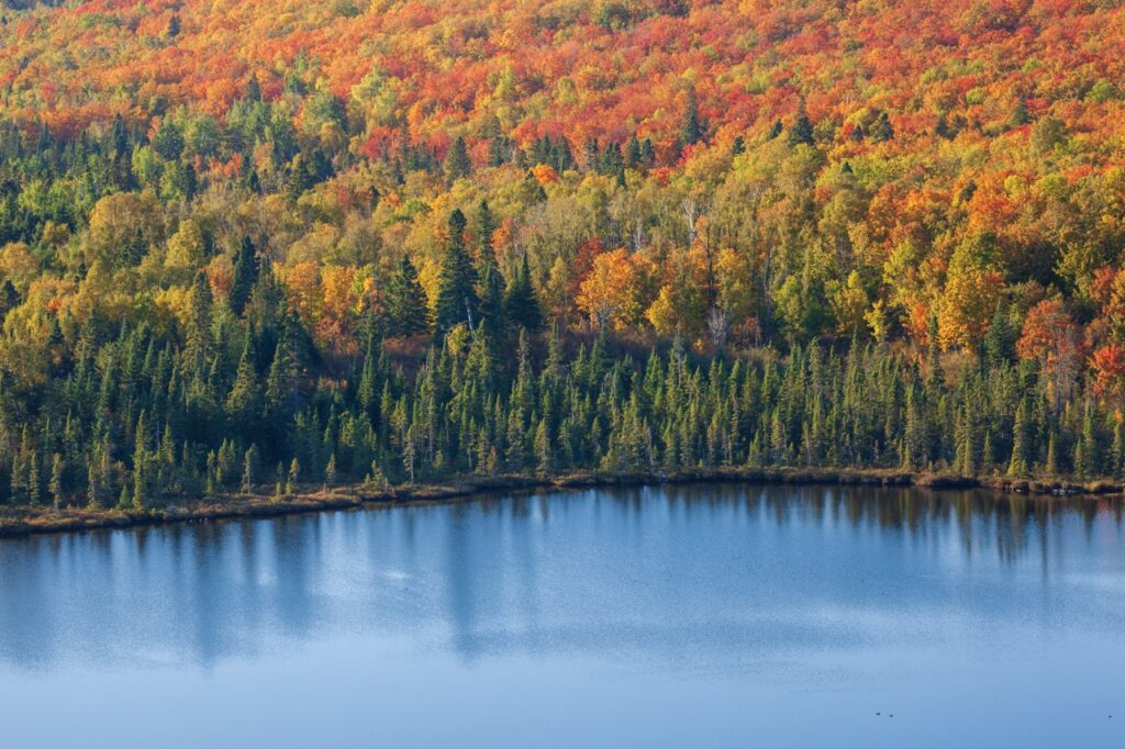 Fall Colors in Northern Manitoba 