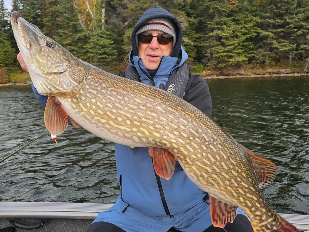 Trophy Fall Northern Pike Fishing in Manitoba