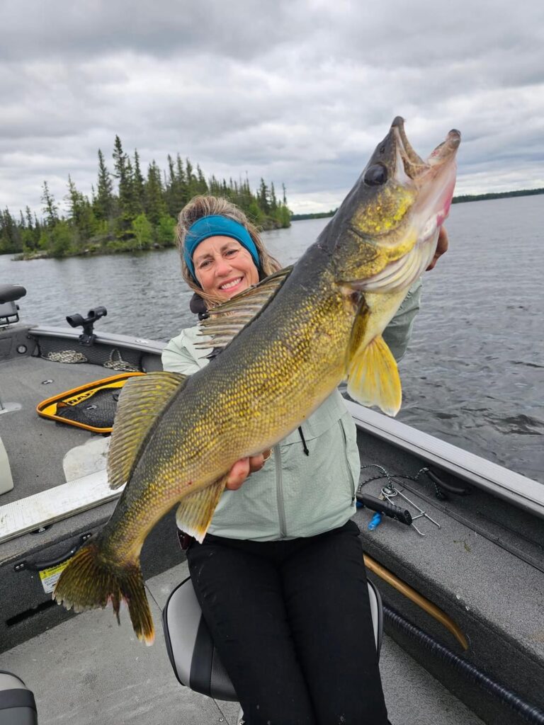 Trophy Walleye caught on a Manitoba Fishing Trip