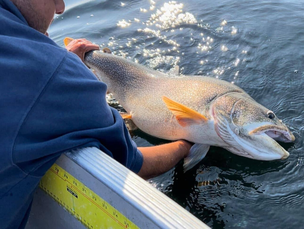 Lake kamuchawie lake Trout