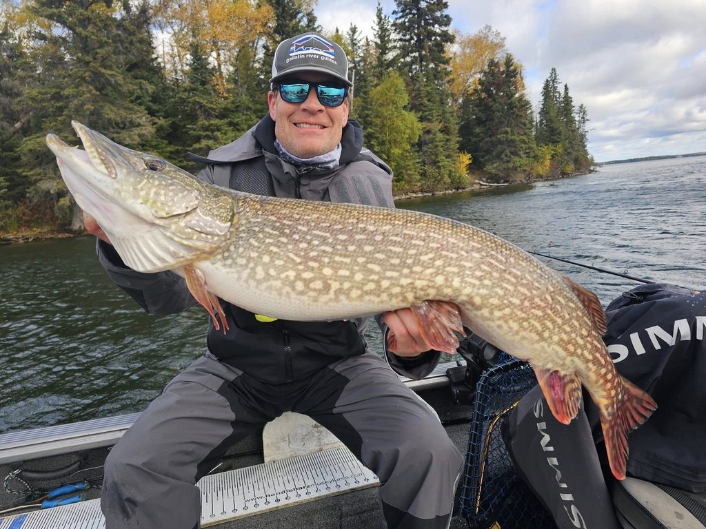 Angler holding a trophy lake trout during fall fishing in Manitoba