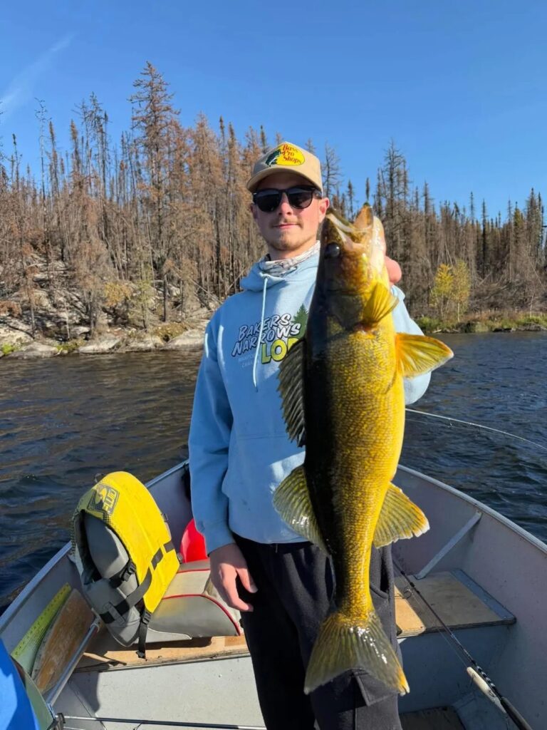 Big walleye caught at the Bakers Narrows Kamuchawie Lake outpost