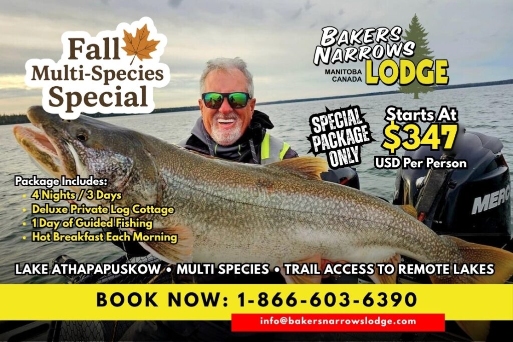 Fall Multi-Species Special Package at Bakers Narrows Lodge